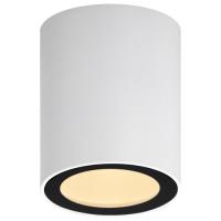 Светильник настенно-потолочный спот ЭРА OL48 WH/BK MR16 GU10 IP44 черный, белый